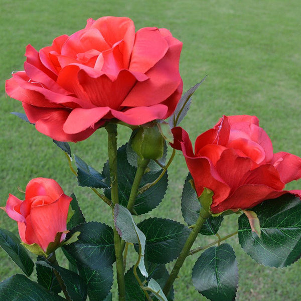 Solar Rose Flower Lawn Lamp-ToShay.org