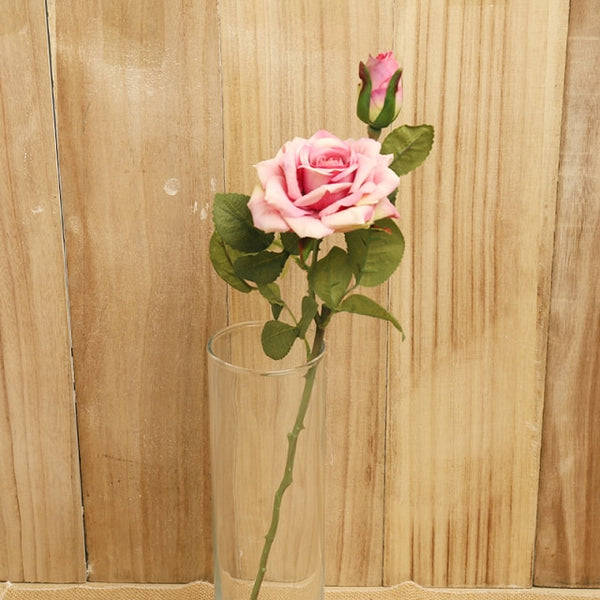 Rose Long Stems-ToShay.org