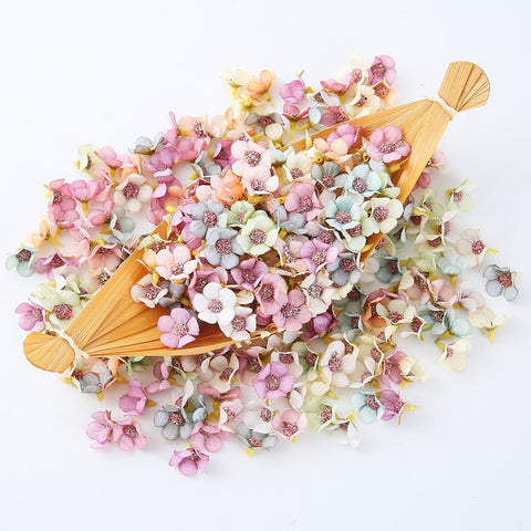 Daisy Flower Heads-ToShay.org