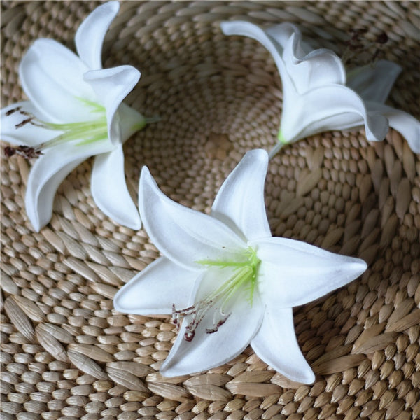 Tiger Lily Flowers-ToShay.org