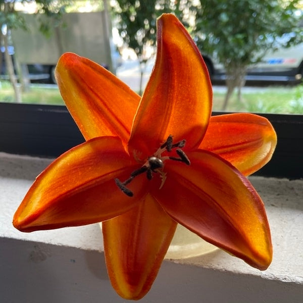 Tiger Lily Flowers-ToShay.org