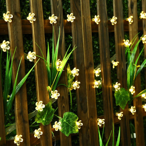 Peach Flower String Lights-ToShay.org