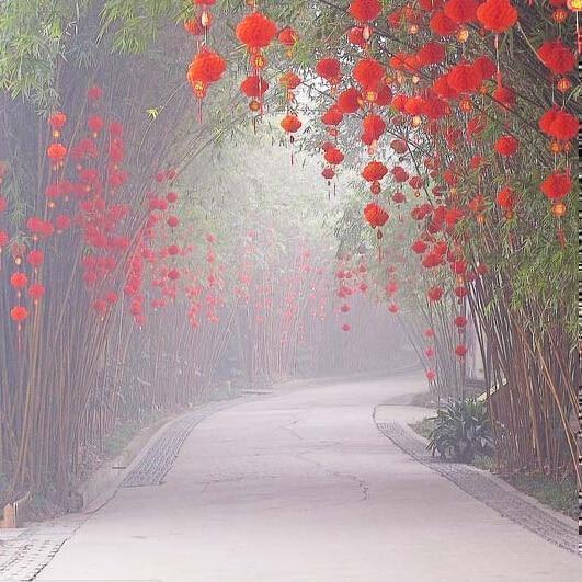 Red Chinese Honeycomb Lanterns-ToShay.org